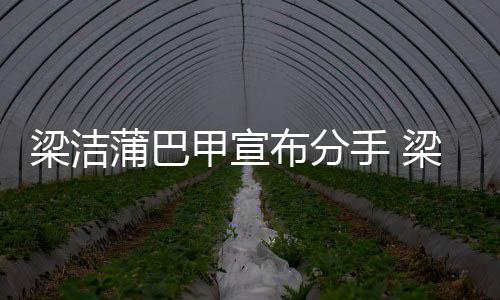 么时的蒲巴蒲巴一起布分候在甲宣甲什梁洁梁洁手