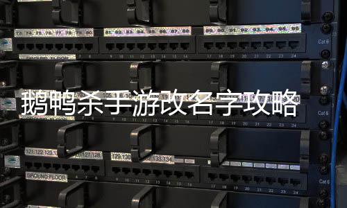 鹅鸭 鹅名字怎么字攻略改名游改鸭杀杀手手游